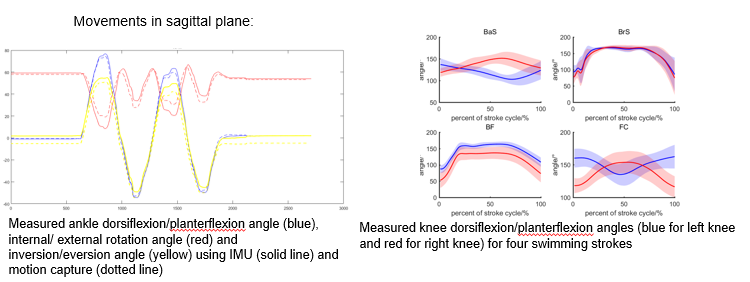 Human swimming locomotion analysis